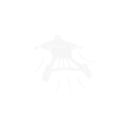 image icon representing the adrenaline-rush ability