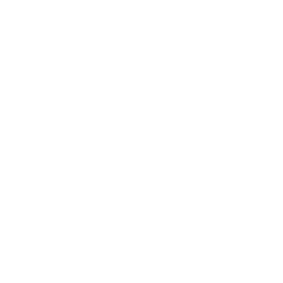 Ankle Breaker ability icon