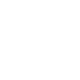 Avalanche ability icon