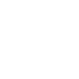 image icon representing the backyard-qb ability