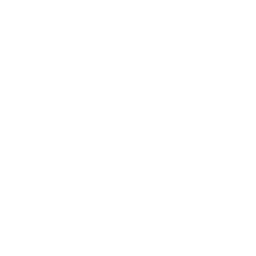 Bazooka ability icon
