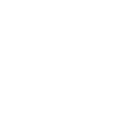 Blitz ability icon