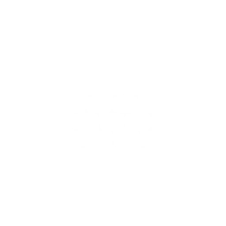 Brick Wall ability icon
