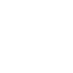 Double Me ability icon