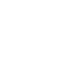 image icon representing the enforcer-supreme ability