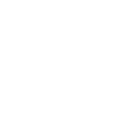 image icon representing the form-tackler ability