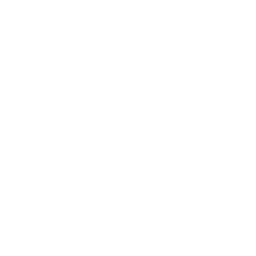 Freight Train ability icon
