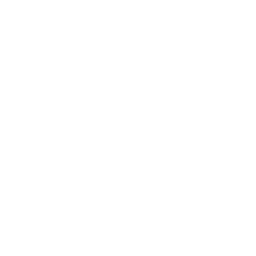Grab and Smash ability icon
