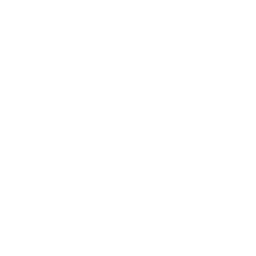 image icon representing the linchpin ability