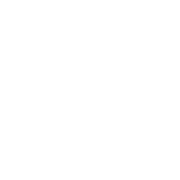 Max Security ability icon