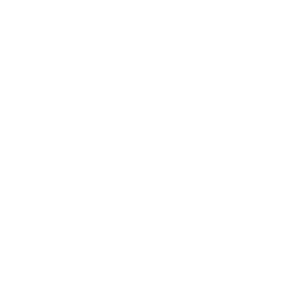 Momentum Shift ability icon
