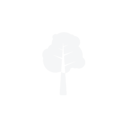 image icon representing the natural-talent ability