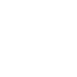 image icon representing the pass-protector ability