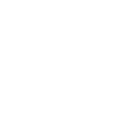 Pro Reads ability icon