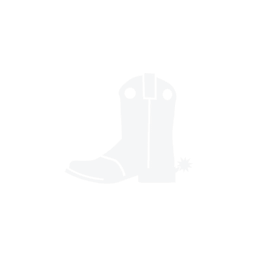 image icon representing the quick-draw ability