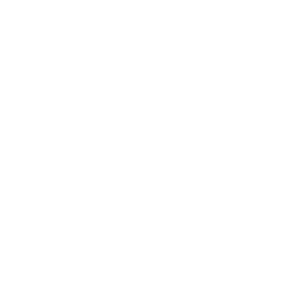 Reinforcement ability icon