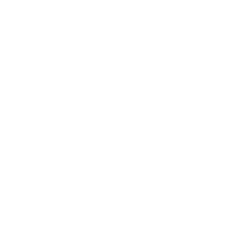 Run & Gun ability icon