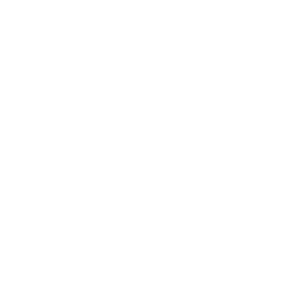 image icon representing the run-protector ability