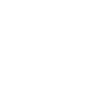 Run Protector ability icon