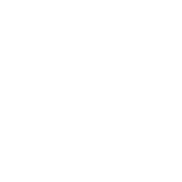 Run Stuffer ability icon