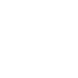 Satellite ability icon