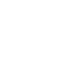 image icon representing the steamroller ability