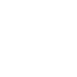 Truzz ability icon