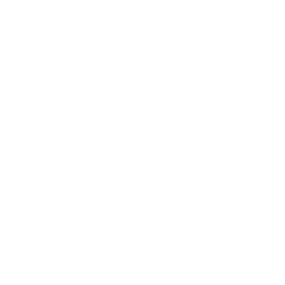 Vanguard ability icon