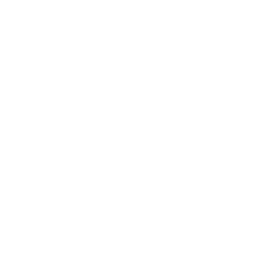 Wrecking Ball ability icon