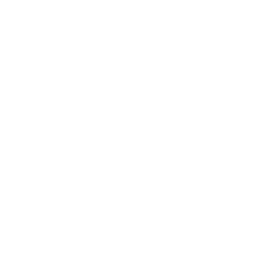 Zone Hawk ability icon